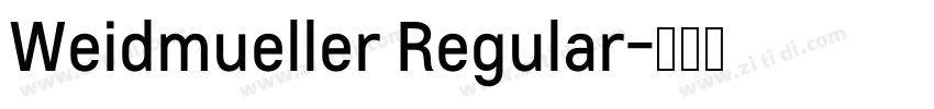 Weidmueller Regular字体转换